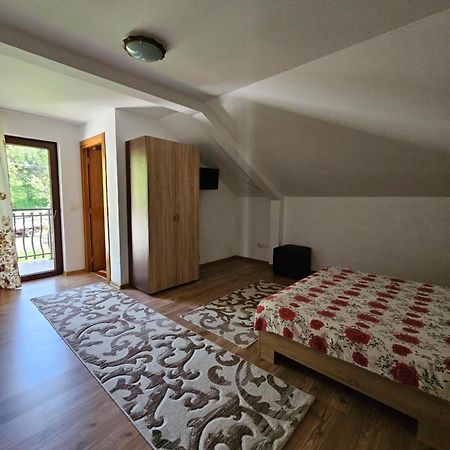 Borşa Casa Alba 빌라 외부 사진