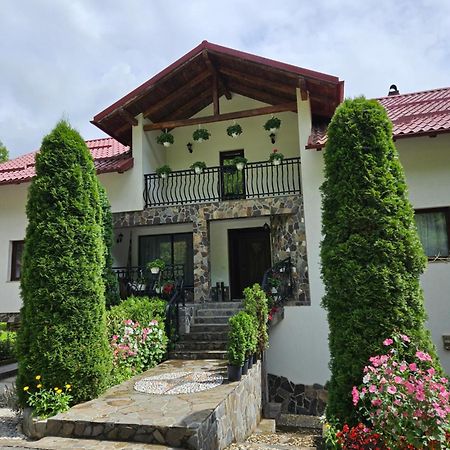 Borşa Casa Alba 빌라 외부 사진