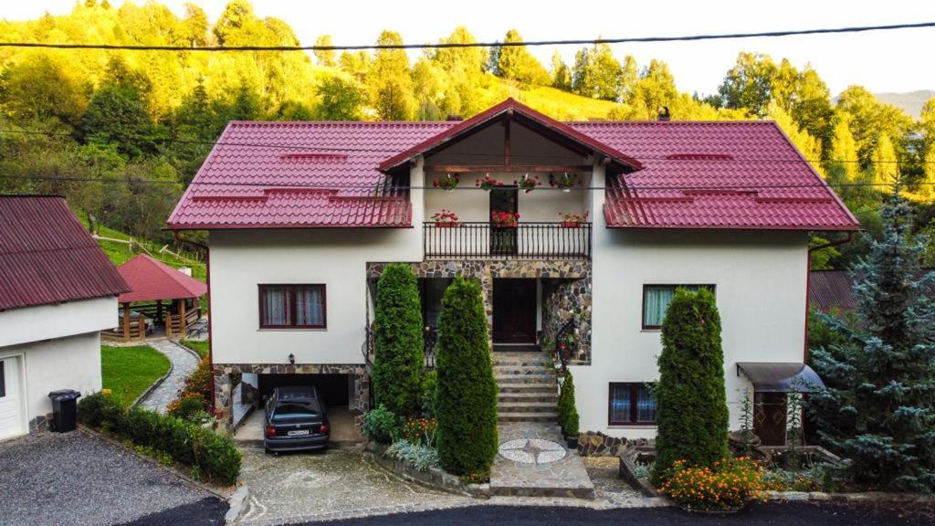 Borşa Casa Alba 빌라 외부 사진