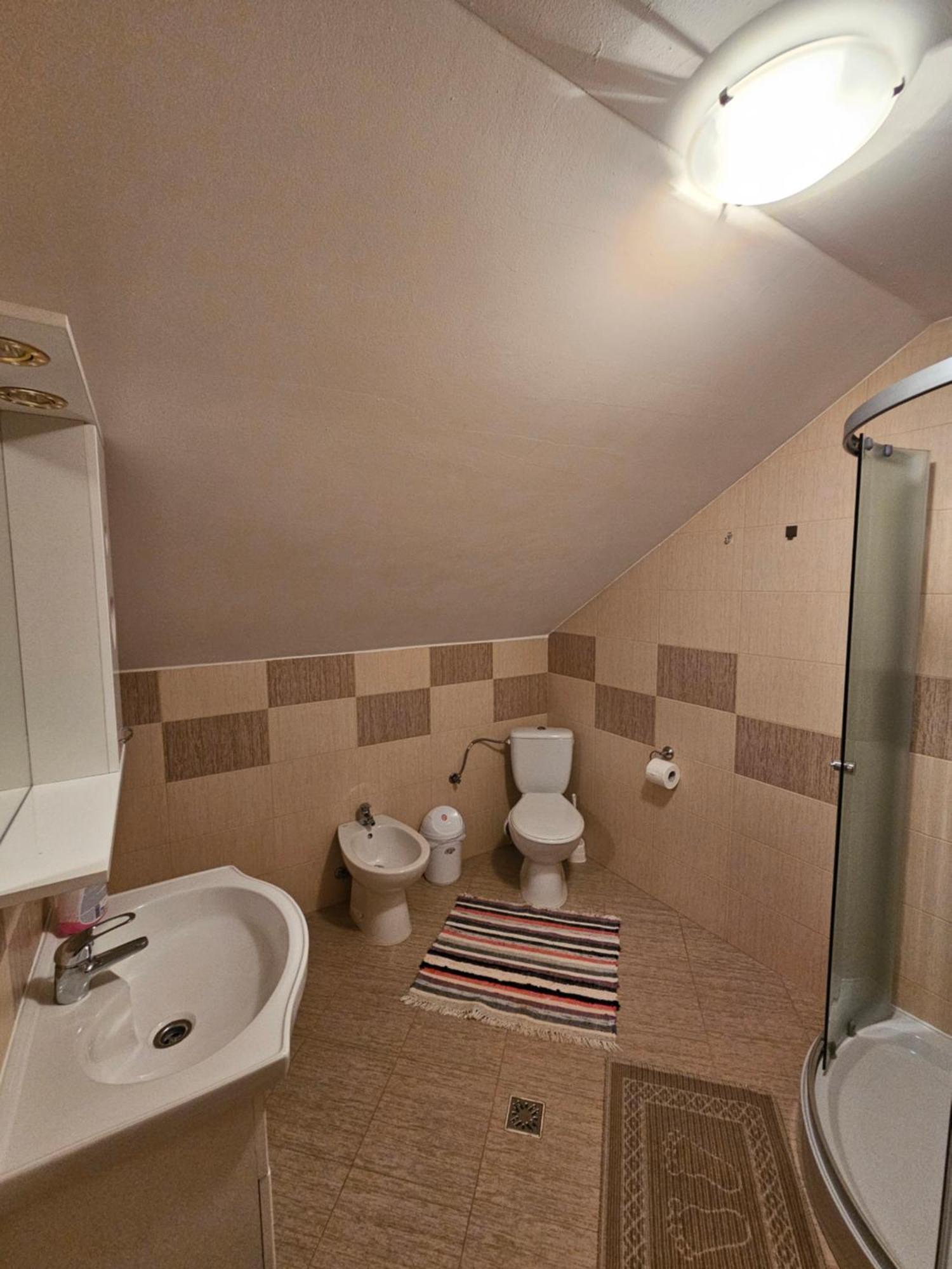 Borşa Casa Alba 빌라 외부 사진