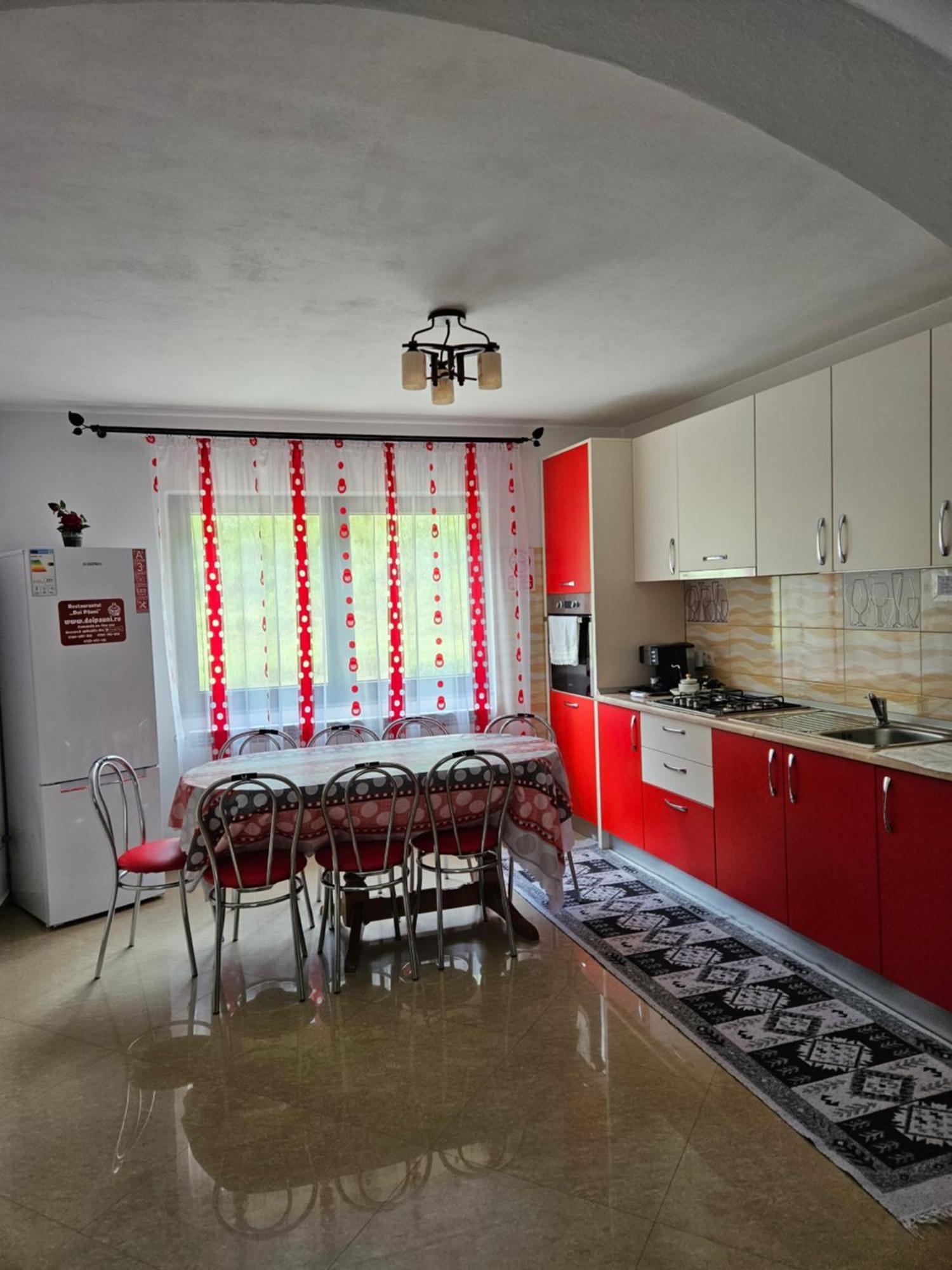 Borşa Casa Alba 빌라 외부 사진