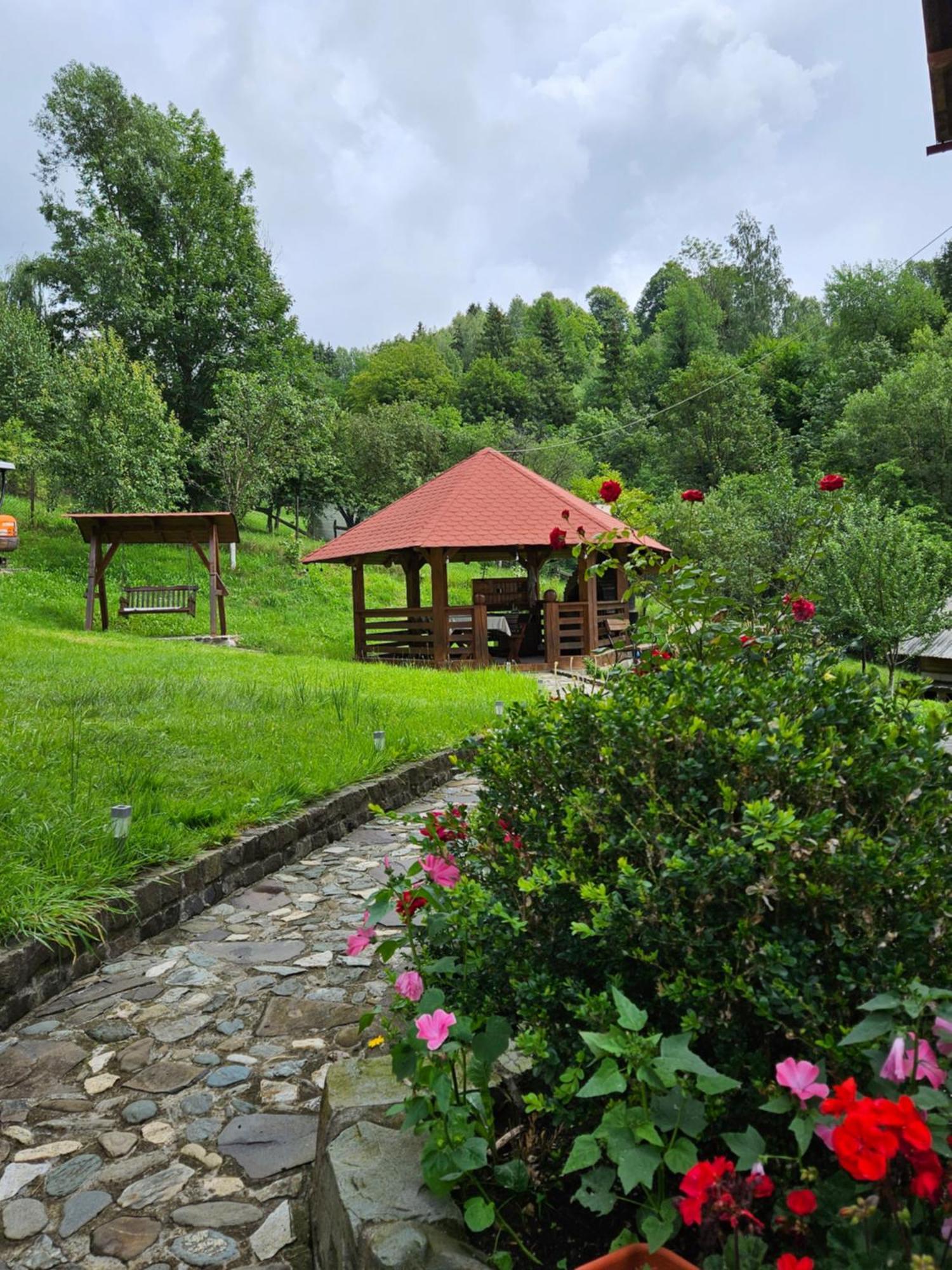 Borşa Casa Alba 빌라 외부 사진